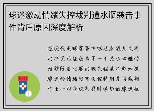 球迷激动情绪失控裁判遭水瓶袭击事件背后原因深度解析